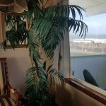 Islander Westport Motel