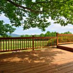 The Tortoise and The Mare