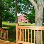 The Tortoise and The Mare