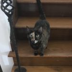 Restful semi-private room with garden views