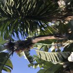 Restful semi-private room with garden views