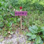 Melodys Place Lodging room #3