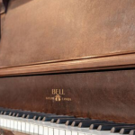 Elevate Your Stay in YYC