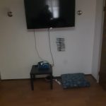 Sharon’s Place 4 pet, smoke, 420 friendly