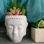 The Collective House