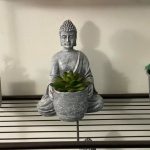 The Collective House