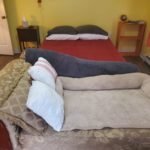 First floor New England Colonial-Dogs OK-shared kitchen OR full privacy option