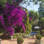 job_manager_uploaded_file