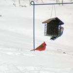 job_manager_uploaded_file