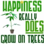 job_manager_uploaded_file