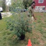 job_manager_uploaded_file