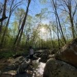 job_manager_uploaded_file