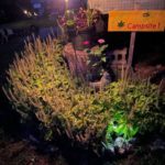 job_manager_uploaded_file