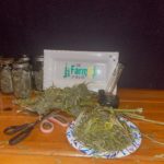 job_manager_uploaded_file