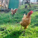 job_manager_uploaded_file