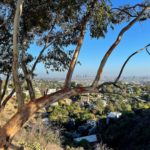 job_manager_uploaded_file