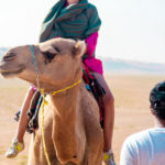 job_manager_uploaded_file