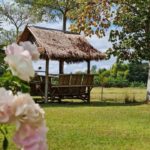 The Oriental Village ChiangMai garden area