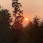 job_manager_uploaded_file