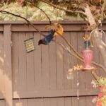 job_manager_uploaded_file