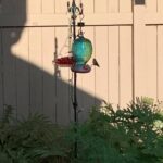 job_manager_uploaded_file