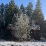 job_manager_uploaded_file