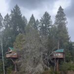 job_manager_uploaded_file