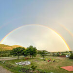 job_manager_uploaded_file