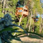 job_manager_uploaded_file