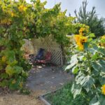 job_manager_uploaded_file