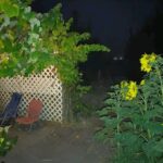 job_manager_uploaded_file