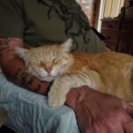 job_manager_uploaded_file