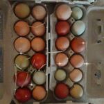 job_manager_uploaded_file