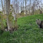 job_manager_uploaded_file