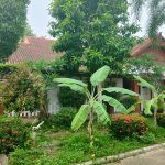 job_manager_uploaded_file