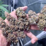 job_manager_uploaded_file